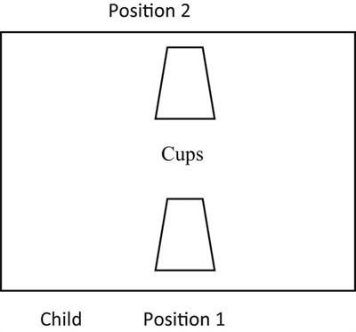 Acquisition of L2 English spatial deixes by Arabic-speaking children